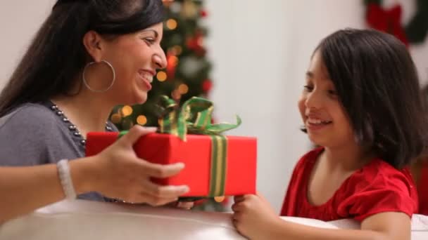 Familie zu Weihnachten zusammen — Stockvideo