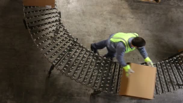 Homem move caixas — Vídeo de Stock