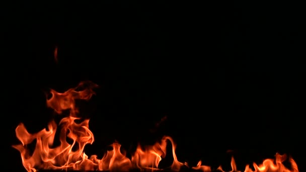 Flames burning close up — Stock Video