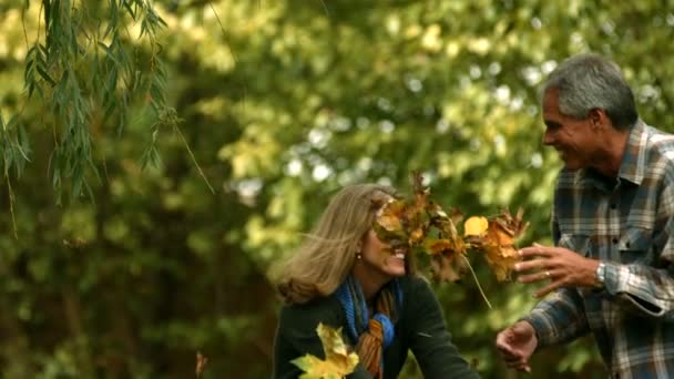 Casal brincando com folhas — Vídeo de Stock