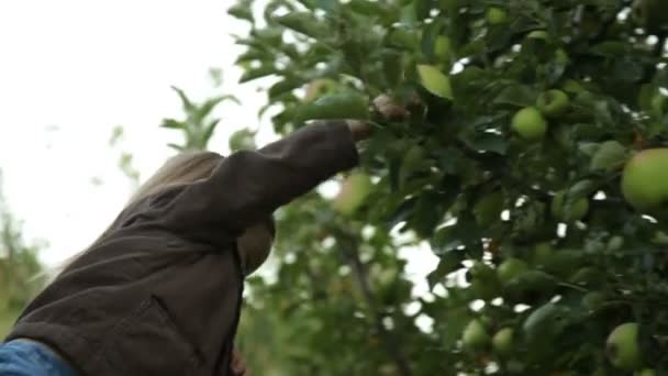 Portrait of girl in an orchard — Stock Video