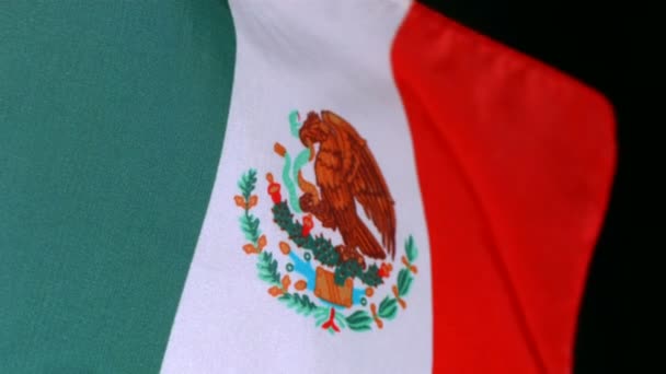 Meksika bayrağı sallayarak — Stok video
