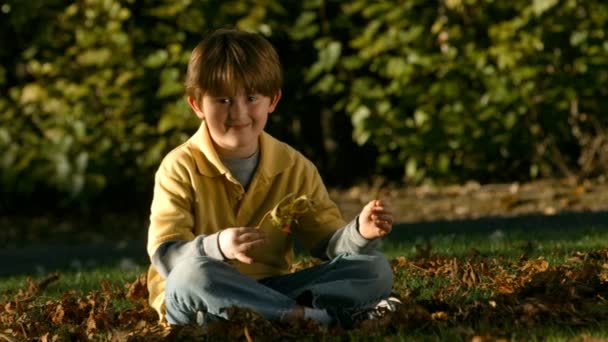 Boy playing in autumn leaves — Stock Video