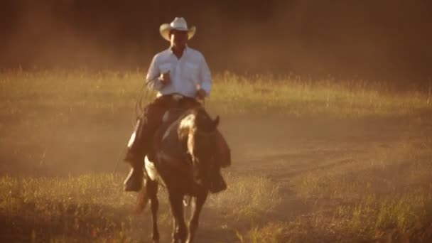 Portret van cowboy op paard — Stockvideo