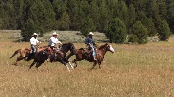 Tres vaqueros a caballo — Vídeos de Stock