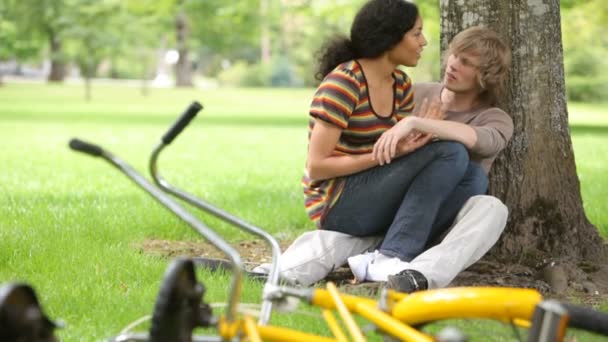 Pareja juntos en el parque — Vídeo de stock