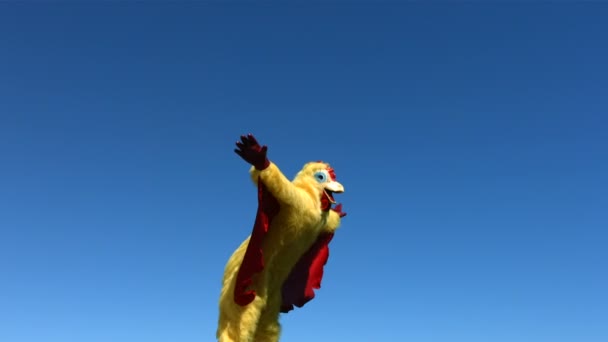 Chicken flies into sky — Stock Video