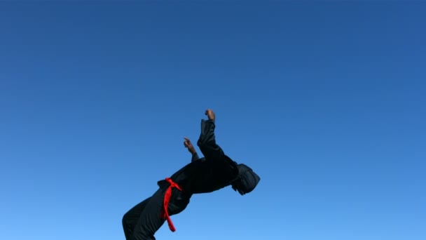 Ninja flips dans l'air — Video