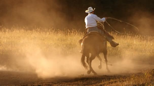 Cowboy roping ao pôr-do-sol — Vídeo de Stock