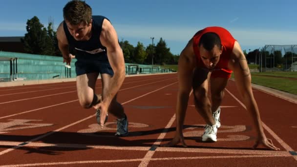 Läufer am Start — Stockvideo