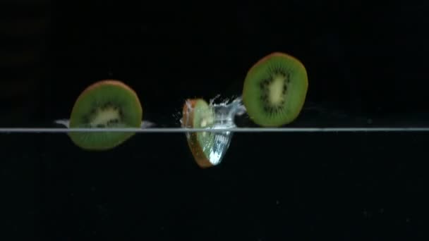 Kiwi éclaboussant dans l'eau — Video