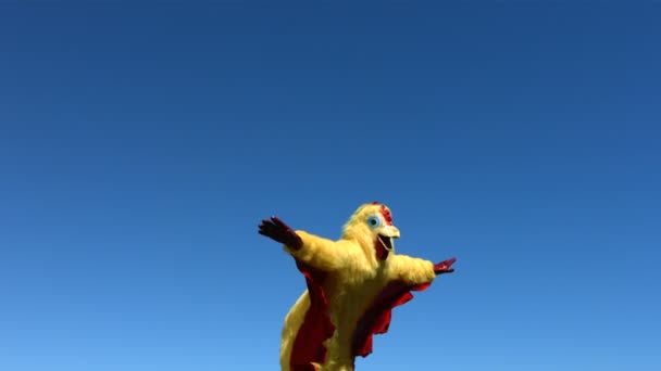 Chicken jumps into air — Stock Video