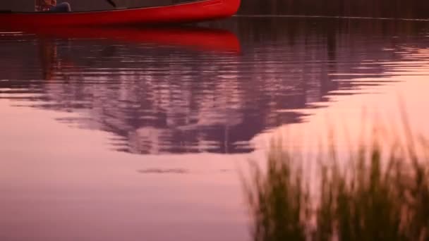 Homem remando canoa — Vídeo de Stock