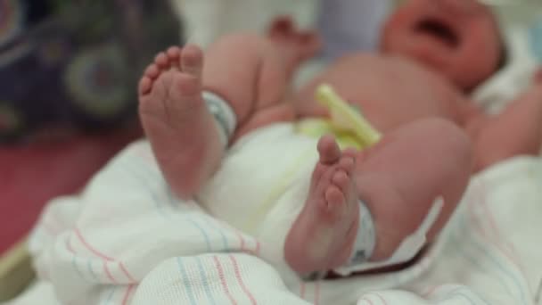 Bebé recién nacido en el hospital — Vídeos de Stock