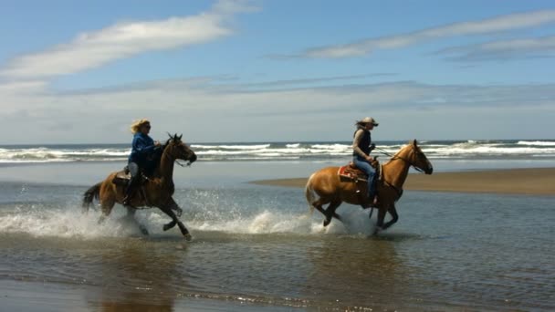 Horseback het berijden op strand — Stockvideo