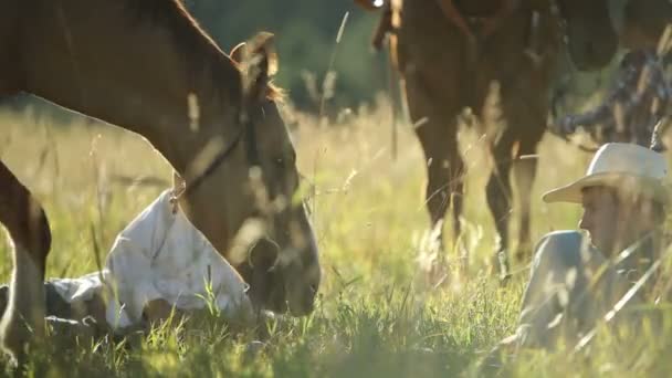 Los vaqueros se sientan en la hierba — Vídeo de stock