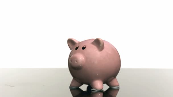 Hammer smashes tirelire 