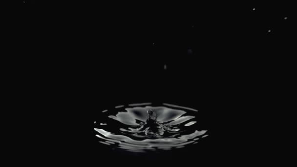 Kapky padající vody — Stock video