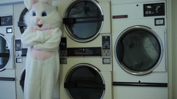 Coelho da Páscoa na lavanderia — Vídeo de Stock