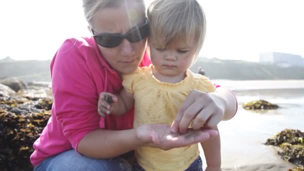 母亲和女儿看蟹 — 图库视频影像