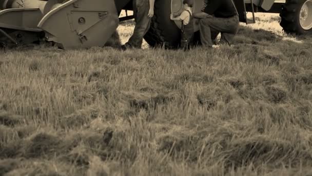 Famille par combiner dans le domaine 