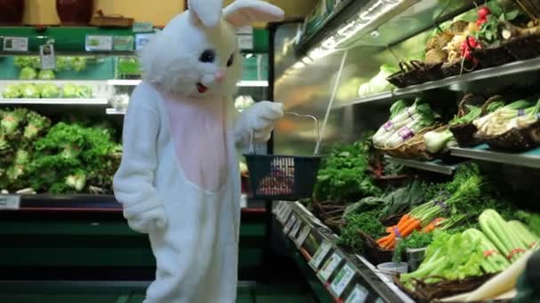 Belanja kelinci Paskah untuk wortel — Stok Video