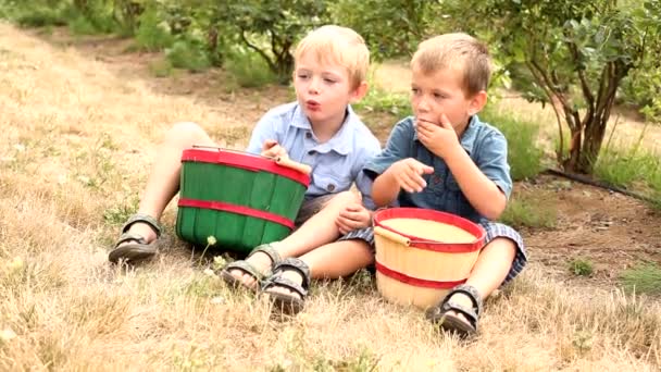 Jungen essen Blaubeeren — Stockvideo