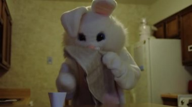 Bunny gazete okuyor