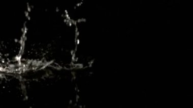 Biber siyah arka plan üzerine düşen