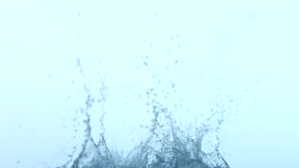 Ледяные кубики плескаются в воду — стоковое видео