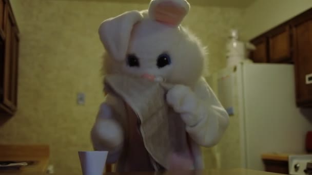 Bunny läser tidningen — Stockvideo