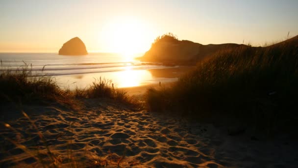 Personnes sur la plage au coucher du soleil — Video