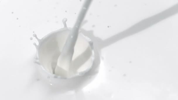 Versare il latte Primo piano — Video Stock