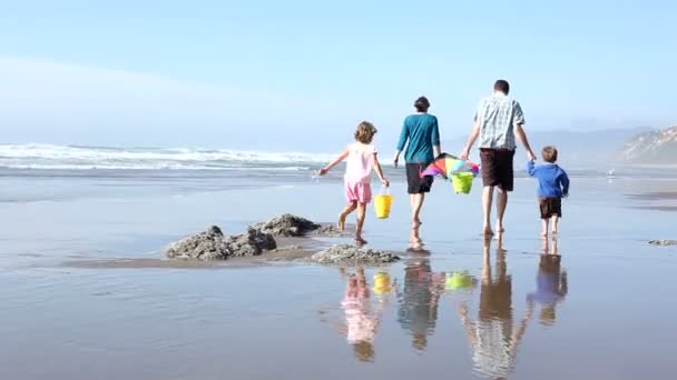 Familie wandelen op het strand — Stockvideo