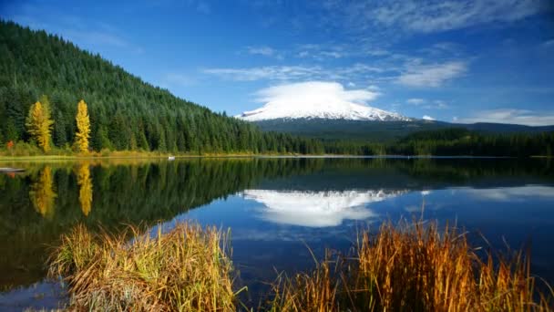 Mt. Hood reflected in Trillium Lake — Stock Video