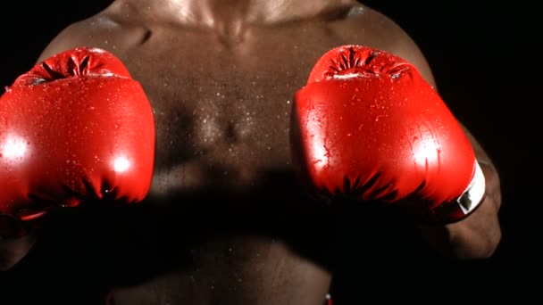 Boxer punching gloves — Stock Video