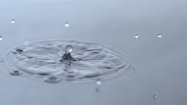 Vattendroppar i grunt vattenpöl — Stockvideo