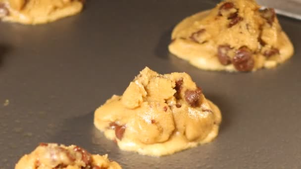 Печенье выпечки в духовке — стоковое видео