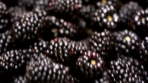 Свежий фон Blackberries — стоковое видео