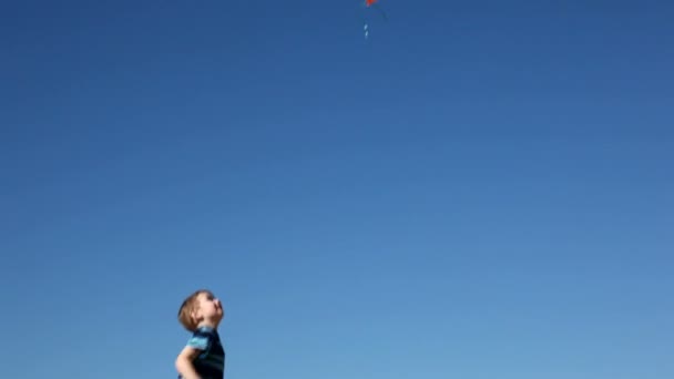 Chico deja que los globos suban al cielo — Vídeo de stock