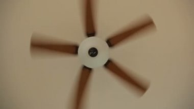 iplik tavan fanı