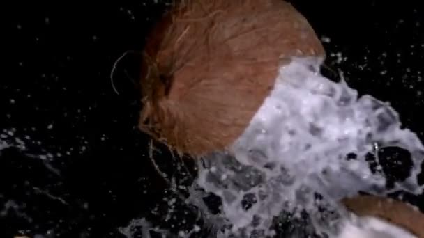 Breaking coconut on black background — Stock Video