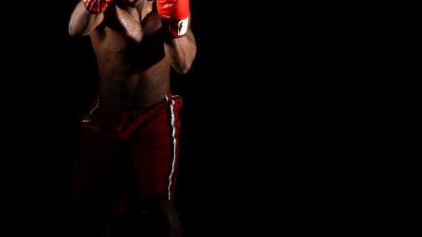 Boxer krijgt sloeg in het gezicht — Stockvideo