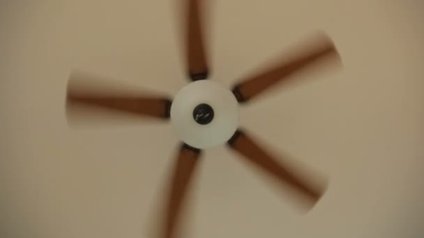 Ventilador de techo giratorio — Vídeo de stock