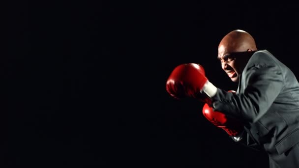 Retrato del hombre de negocios del boxeo — Vídeo de stock