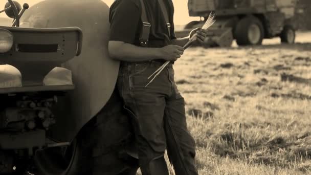 Agricultor que tiene espigas de trigo — Vídeo de stock