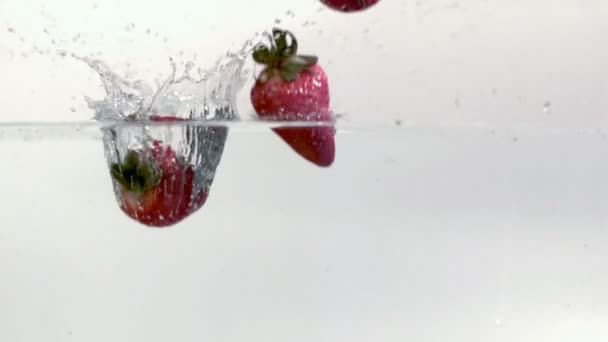 Aardbeien spatten in water — Stockvideo