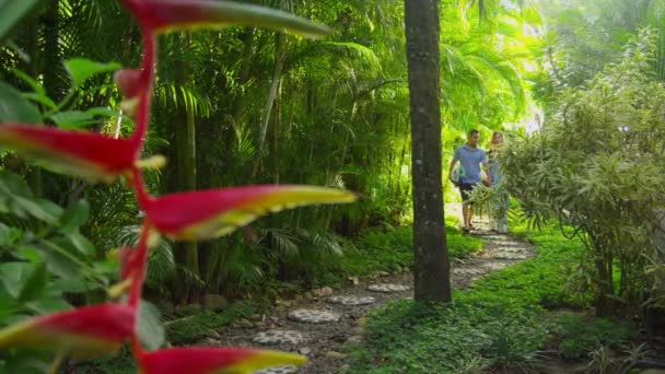 Couple in tropical jungle — Stock Video