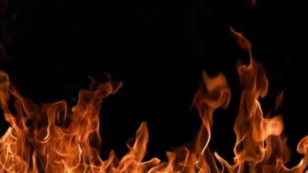 Vlammen branden op zwarte achtergrond — Stockvideo