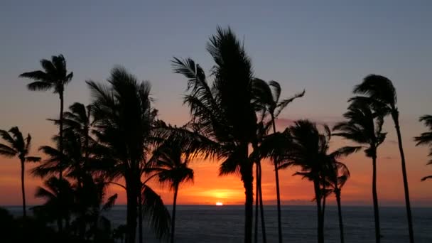 Coucher de soleil sur l'océan Pacifique — Video